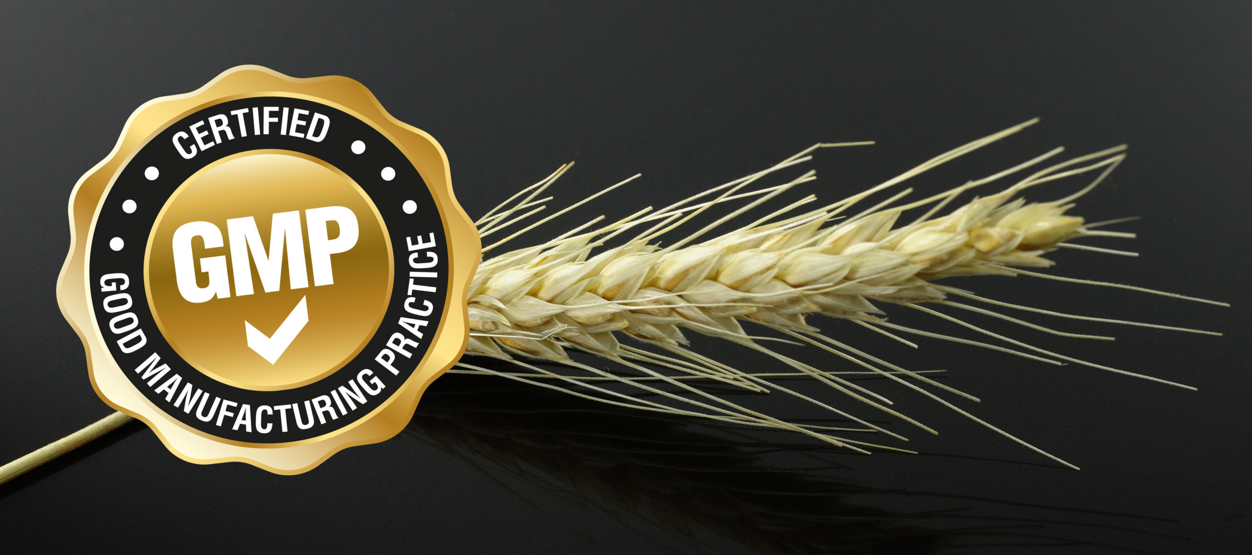 GoodGrain Achieved GMP+ Certification